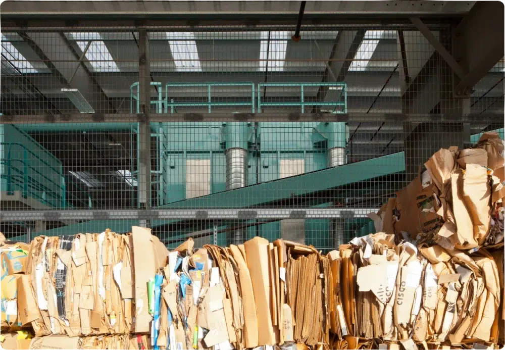 Recycling Facility for Cardboard